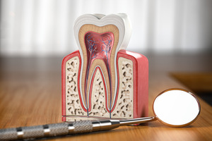 Dental mirror lying in front of model showing inside of tooth
